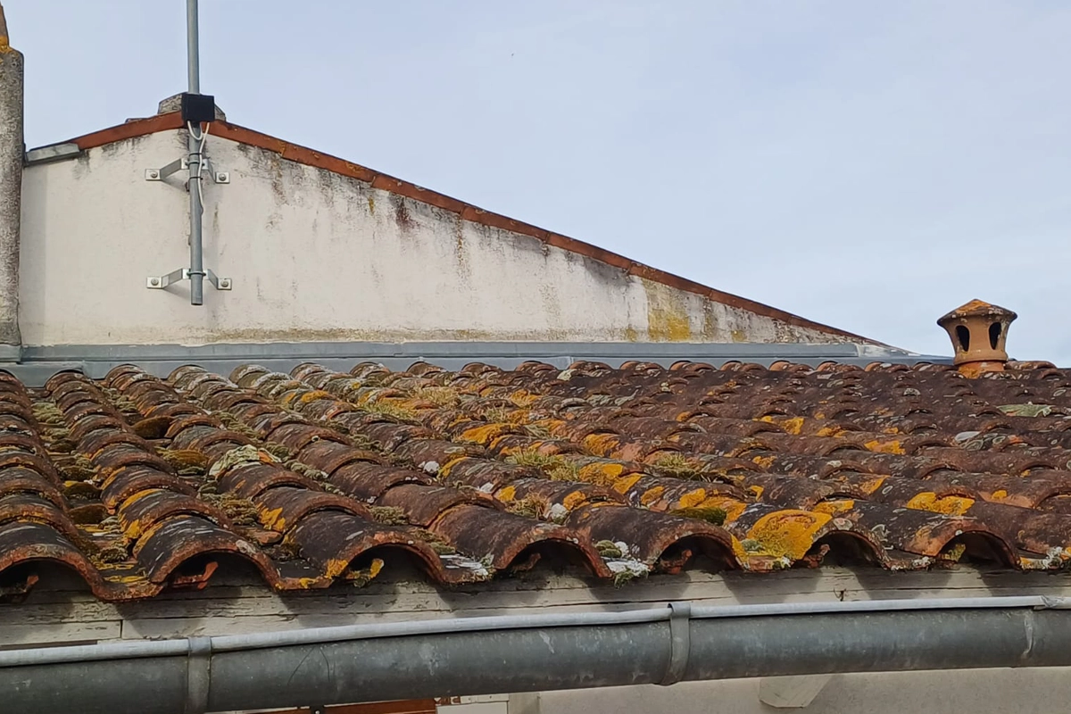 démoussage toiture Rochefort avant intervention