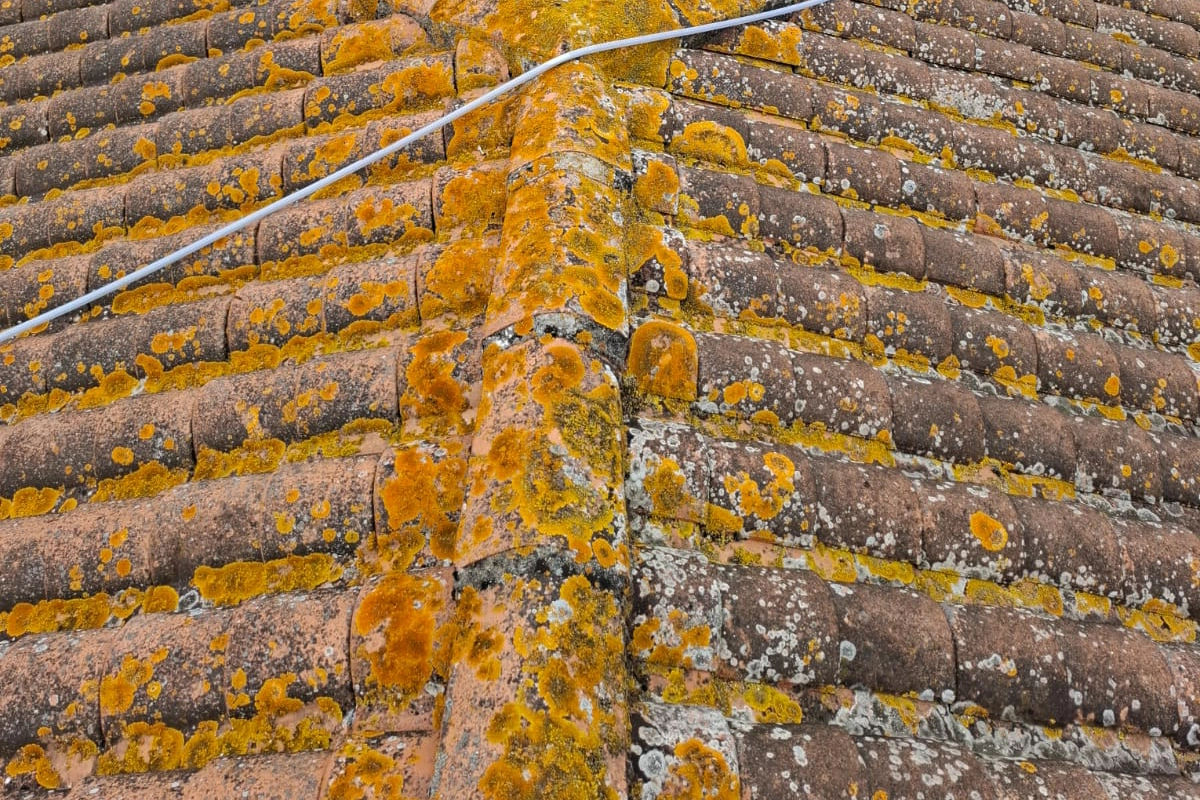 application traitement anti mousse toiture Rochefort