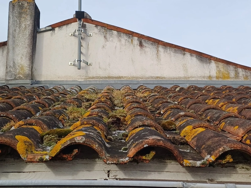 démoussage toiture la rochelle avant nettoyage mousse tuiles