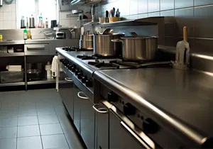 Technicien désinsectisant une cuisine professionnelle