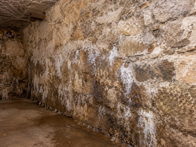 Mur de cave en pierre présentant des traces d'humidité